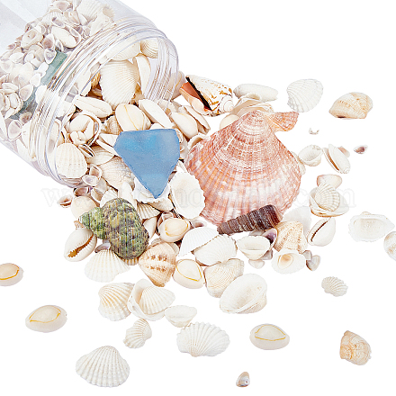 Perle di conchiglie naturali e perle di scaglie di vetro marino SSHEL-PH0001-11-1