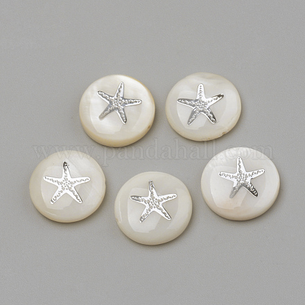 Perles de coquillages naturels d'eau douce X-SHEL-Q011-008P-1