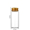 Clear Glass Bottles Bead Containers, Screw Top Bead Storage Tubes with Aluminum Cap, Column, Golden, 3.7x9cm, Capacity: 70ml(2.37fl. oz)