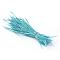 Goose feather Costume Accessories, Dyed, Sky Blue, 80~250x3~5mm, about 200pcs/bundle