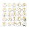 Brass Elder Futhark Alphabet Engraved Symbol Flat Round Natural Howlite Rune Stones, for Chakras Balancing, Crystal Therapy, Meditation, Divination, 16.5~17.5x6~7mm, 25pcs/set