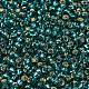 Toho perles de rocaille rondes SEED-TR08-0027BD-2