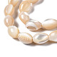 Fili di perle di conchiglia trochid naturale / trochus X-SSHEL-S266-021B-02-3