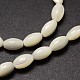 Chapelets de perles de coquille de trochid / trochus coquille X-SSHEL-K008-06-3