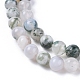Chapelets de perles en agate d'arbre naturelle G-L533-22-2