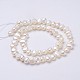 Natural Cultured Freshwater Pearl Beads Strands PEAR-P002-42-2