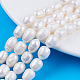 Natural Cultured Freshwater Pearl Beads Strands PEAR-N012-08C-5