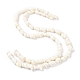Chapelets de perles de coquillage naturel BSHE-D020-01-2