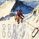 6 Stück 2 Stil 304 Kletterkarabiner aus Edelstahl STAS-TA0001-33P-8