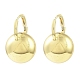 Rack Plating Brass Round Ball Hoop Earring EJEW-H117-07G-1