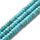 Natural Howlite Beads Strands G-C025-10A-1