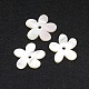 Shell perle bianche naturali X-SSHEL-I008-03-2