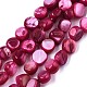 Natural Freshwater Shell Beads Strands SHEL-S276-110A-05-1