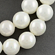 Chapelets de perles en coquille BSHE-R146-8mm-02-1
