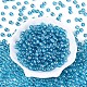 Прозрачное стекло Бисер SEED-N007-33B-09-2