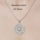201 Stainless Steel Star of David Pendant Necklace NJEW-OY002-29-3