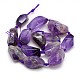 Natural Gemstone Amethyst Beads Strands G-L159-A-06A-3