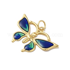 Подвески из латуни с эмалью в стойку KK-G504-04G-01