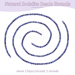 2 нити натуральных содалитовых бусин нити G-OC0004-85