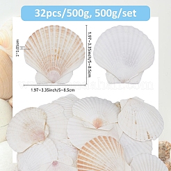 500 g de coquillages naturels&nbsp;DJEW-FH0001-35B