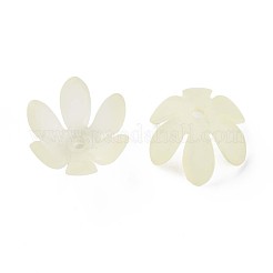 Прозрачные акриловые бусины&nbsp;MACR-S373-47-D03