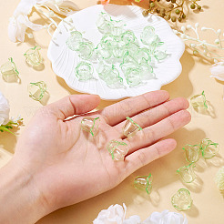 30 шт. акриловых бусин для изготовления колокольчиков&nbsp;TACR-TA0001-69C