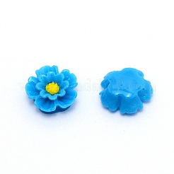Cabochons in resina&nbsp;RESI-WH0024-63
