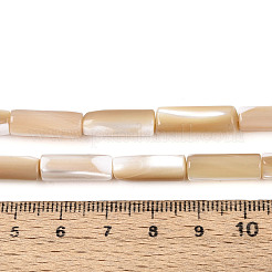 Нити бусин из натуральных трохоидных/трохус ракушек BSHE-T014-06B