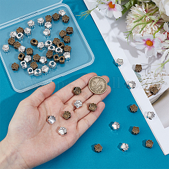 Европейские бусины тибетского стиля  MPDL-PH0001-02