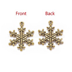 Pendenti in lega di zinco tibetano&nbsp;TIBEP-12740-AG-LF