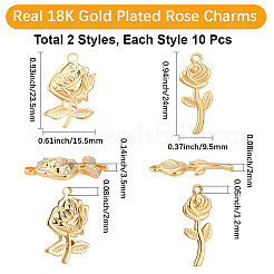 20 шт. 2 стиля подвески из нержавеющей стали 304&nbsp;STAS-BBC0008-63