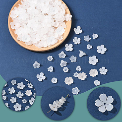 600種類のアクリルビーズキャップ10個  花  ホワイト  8~17x6~18x2.5~10.5mm  穴：1.2~2mm  60個/スタイル&nbsp;OACR-SC0002-37