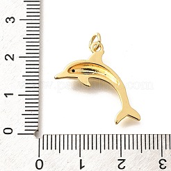 Pendenti in zirconi cubici trasparenti in micro pavè di ottone&nbsp;LS-KK-Q040-03B-G