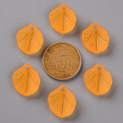 Прозрачные матовые акриловые подвески&nbsp;MACR-S371-02A-724