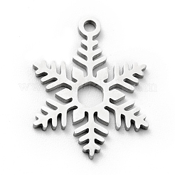 Подвески из нержавеющей стали 201 STAS-E157-04P