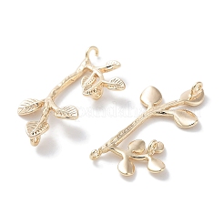 Подвески из латуни KK-C077-06G