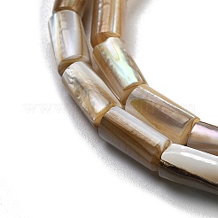 Нити бусин из натуральных пресноводных ракушек BSHE-G038-02