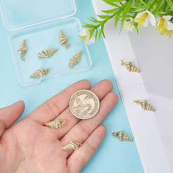 10шт латунные подвески&nbsp;KK-HY0004-09