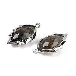 Подвески из натурального лабрадорита в форме листа&nbsp;G-I375-04P-08