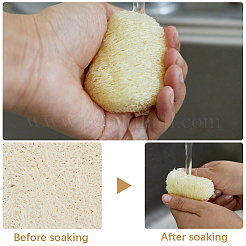 40 шт. натуральная мочалка-губка для отшелушивания кожи лица&nbsp;MRMJ-CN0001-01A