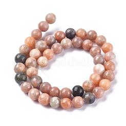 Природные зебры яшмы бисер нитей G-F676-01