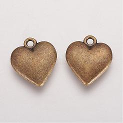 Подвески из сплава в тибетском стиле X-MLF9079Y-NF