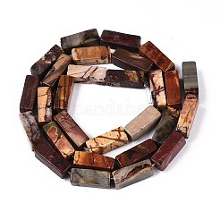 Нити бусин из натуральной яшмы пикассо/полихромной яшмы G-T141-104