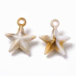 アクリルパーツ  天然石風  スター  バリーウッド  24x20x7mm  穴：2.7mm  約633個/500g&nbsp;OACR-C011-19
