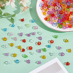 500 шт. Прозрачные акриловые бусины&nbsp;TACR-ME0001-01