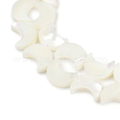 Нити бусин из натуральной белой ракушки SSHEL-10X12