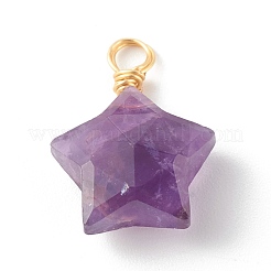 Подвески из натуральных смешанных драгоценных камней&nbsp;PALLOY-JF00748