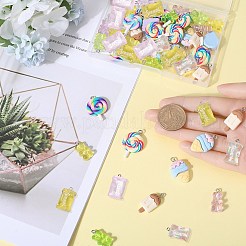 60шт 10 стиля подвески из смолы&nbsp;RESI-SC0002-82