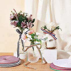 Плоские полосатые ленты из полиэстера в крупный рубчик EC-WH0003-13-B06