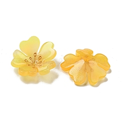 Подвески из ацетата целлюлозы (смолы)&nbsp;MACR-M046-06